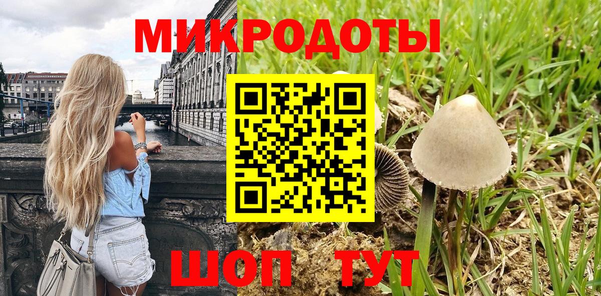 Псилоцибиновые грибы Cubensis Батайск