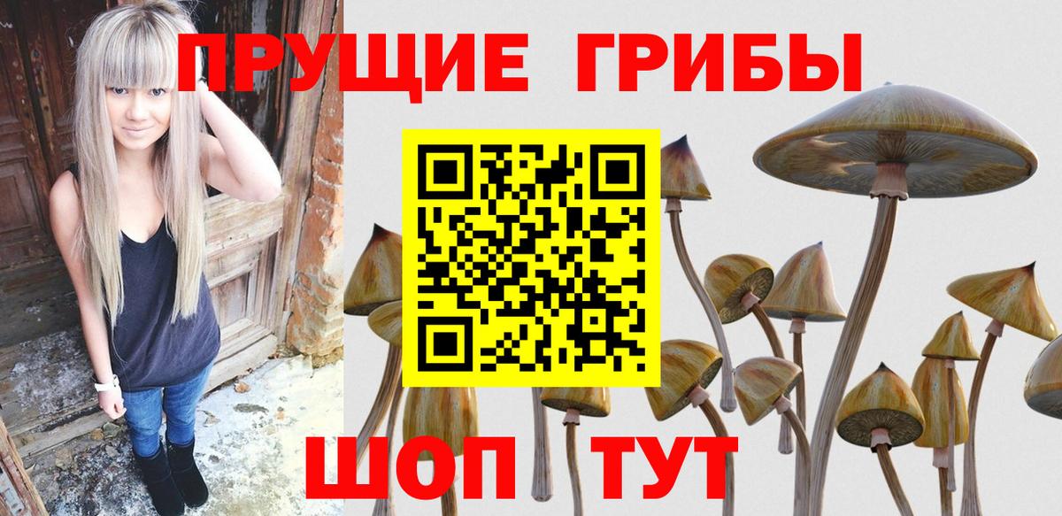 Псилоцибиновые грибы прущие грибы  Вход с VPN  Псилоцибиновые грибы Psilocybe  Батайск 